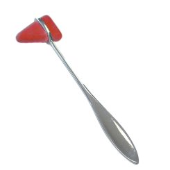 Reflexhammer nach Taylor 20 cm 