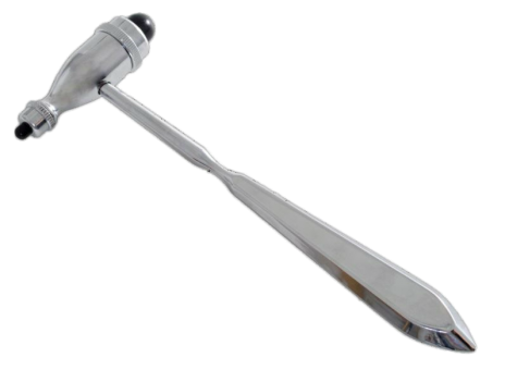 Reflexhammer nach Troemner 24 cm 